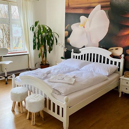 Beauty-Spa Apartment Decin Exterior photo