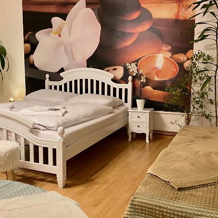 Beauty-Spa Apartment Decin Exterior photo